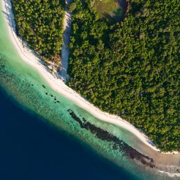 DJI_20241101095416_0028_D-1-scaled.jpg
